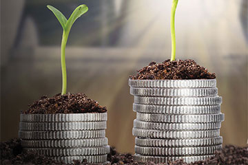 El tratamiento tributario en la Distribución de Dividendos